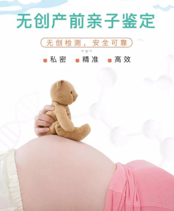 河南胎儿如何办理亲子鉴定,河南无创孕期亲子鉴定收费多少钱
