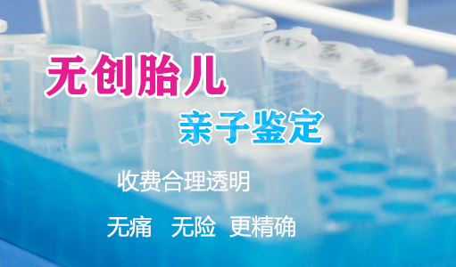河南孕期亲子鉴定中心在什么地方,河南怀孕亲子鉴定准确性高吗